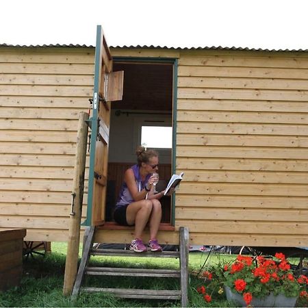 阿什弗德 Shepherdshuts-Southeast酒店 外观 照片