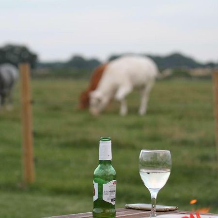 阿什弗德 Shepherdshuts-Southeast酒店 外观 照片