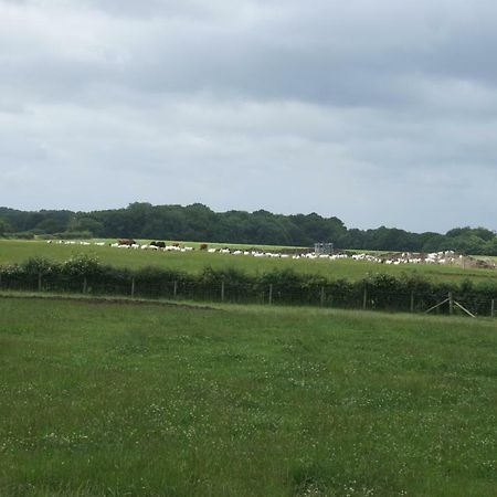 阿什弗德 Shepherdshuts-Southeast酒店 外观 照片