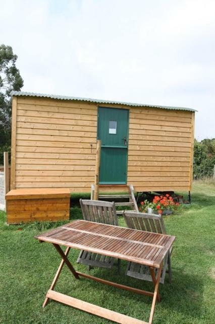 阿什弗德 Shepherdshuts-Southeast酒店 外观 照片