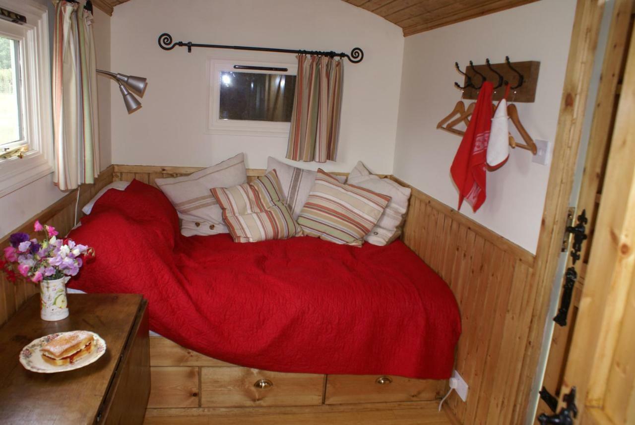 阿什弗德 Shepherdshuts-Southeast酒店 外观 照片