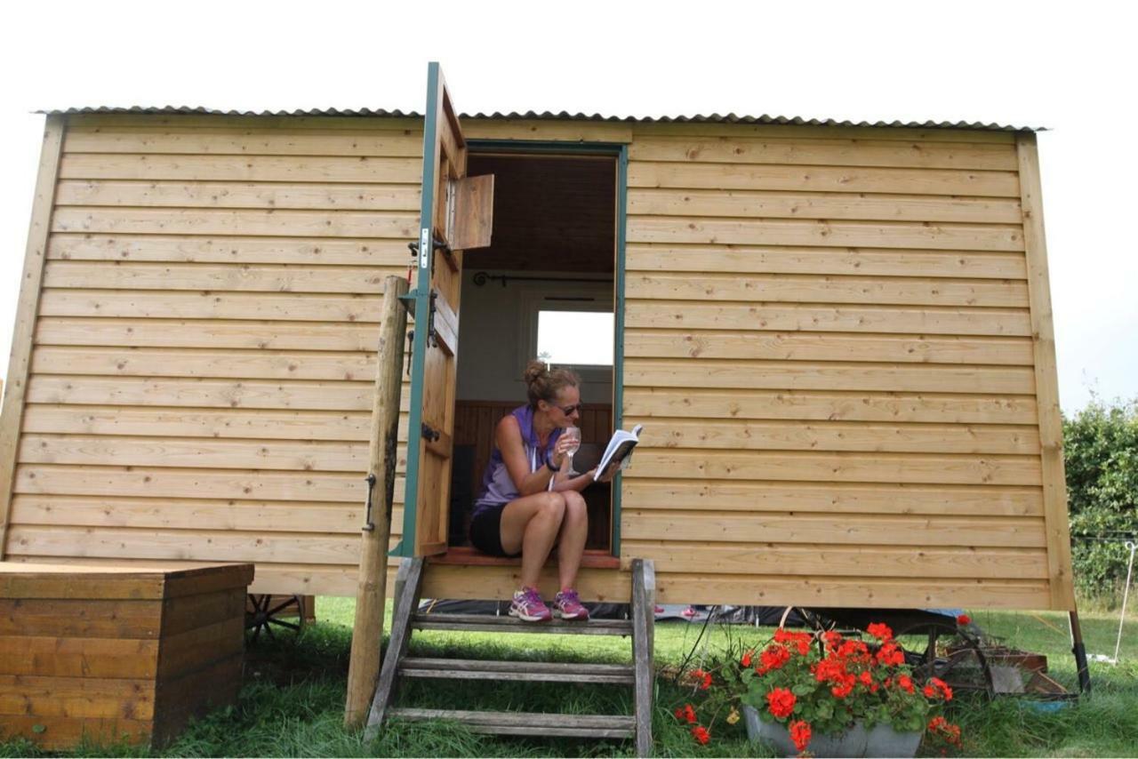 阿什弗德 Shepherdshuts-Southeast酒店 外观 照片