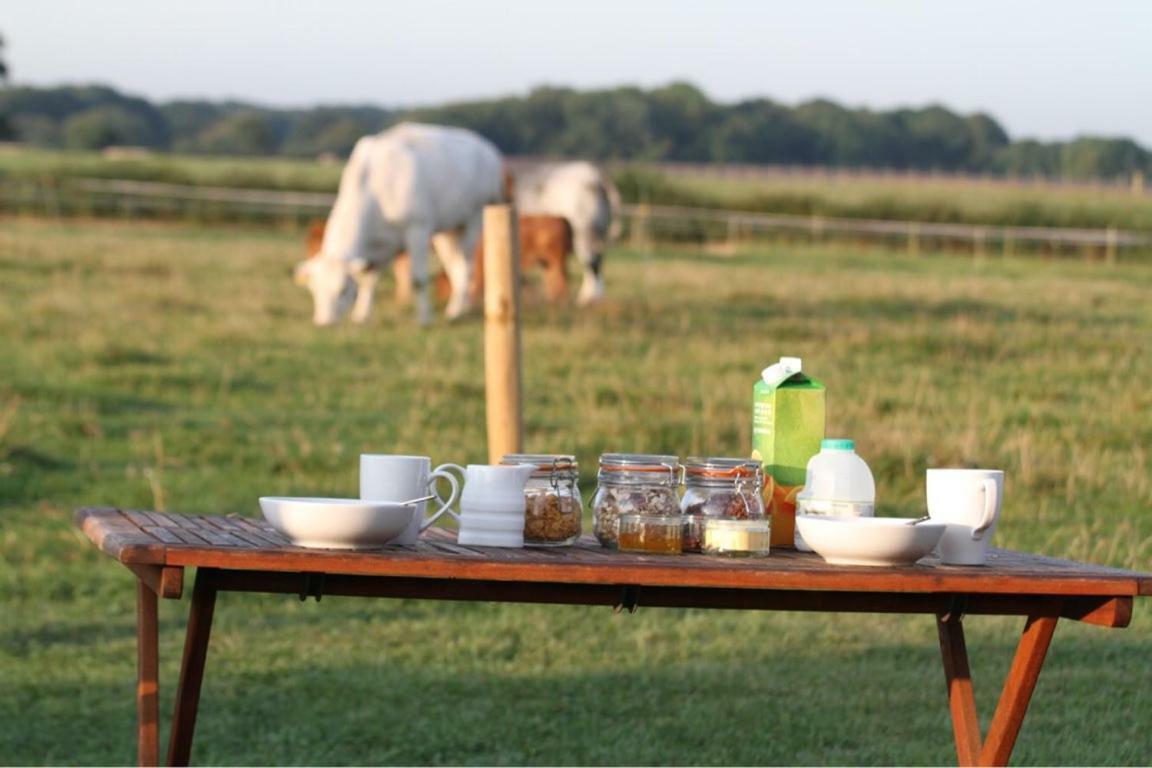 阿什弗德 Shepherdshuts-Southeast酒店 外观 照片