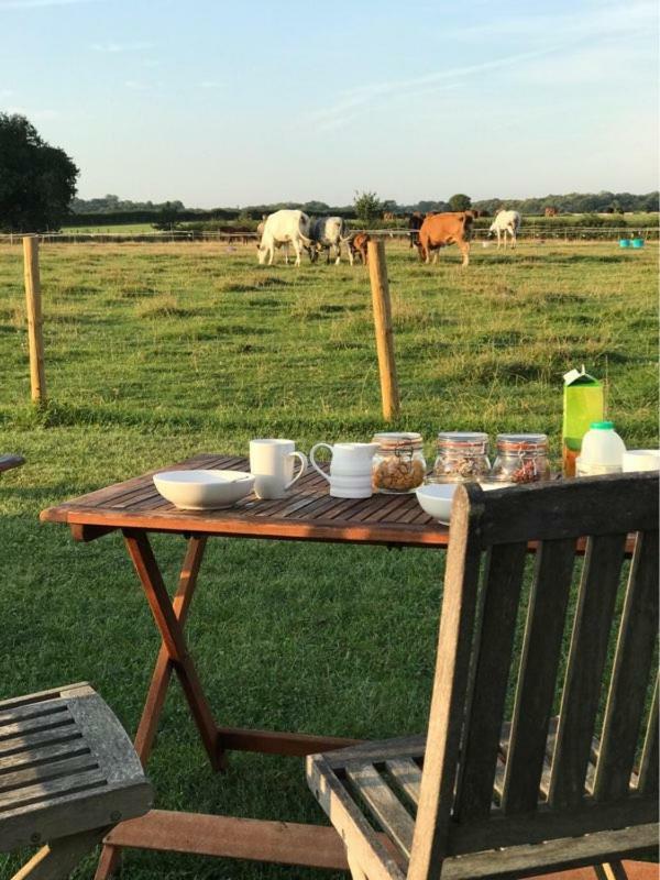 阿什弗德 Shepherdshuts-Southeast酒店 外观 照片