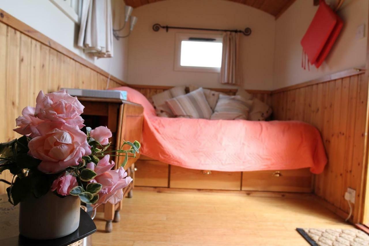 阿什弗德 Shepherdshuts-Southeast酒店 外观 照片